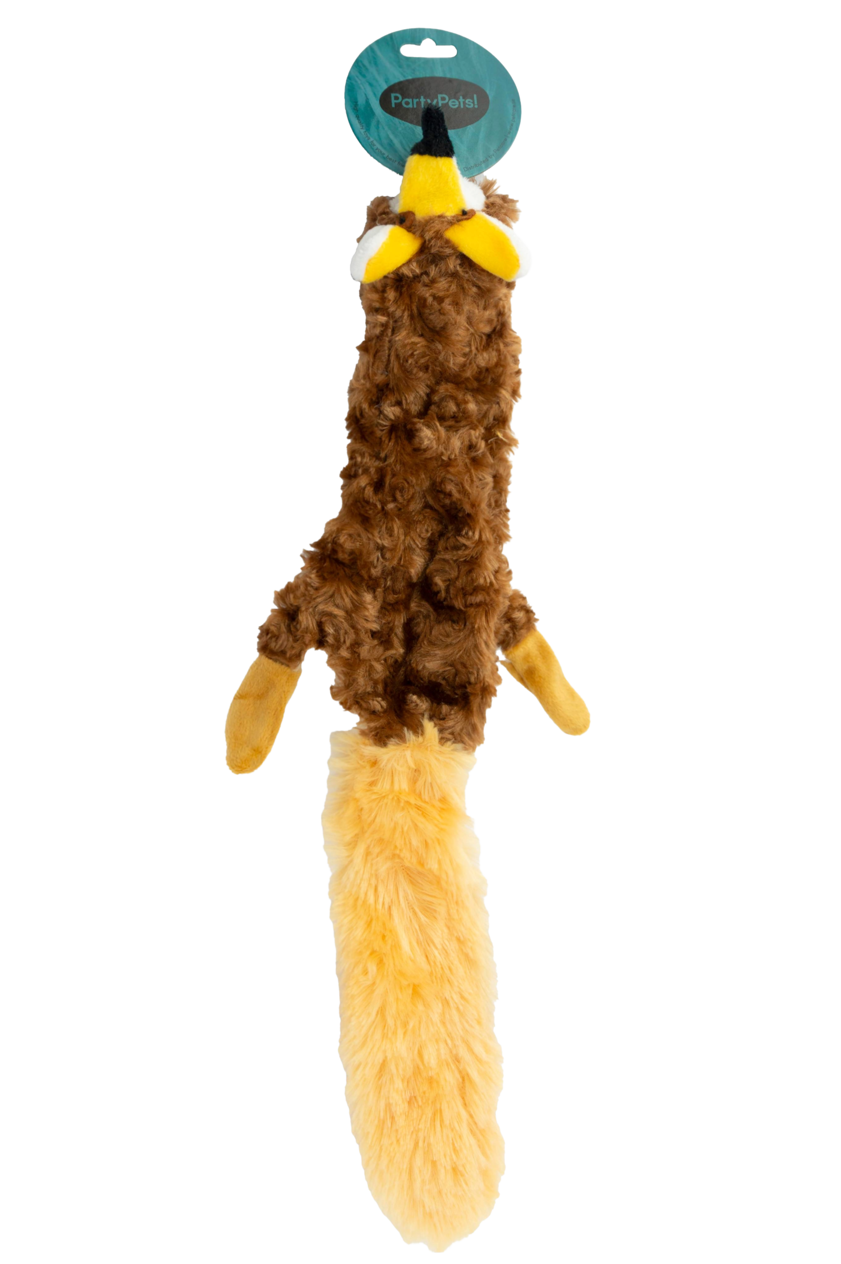 Platt björn